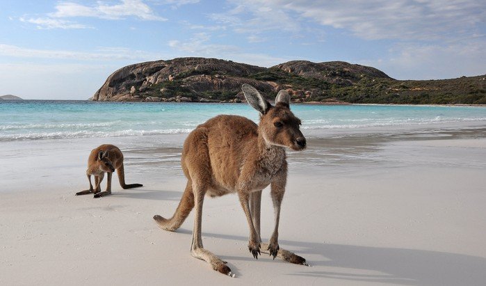 Schueler-Sprachreisen Australien