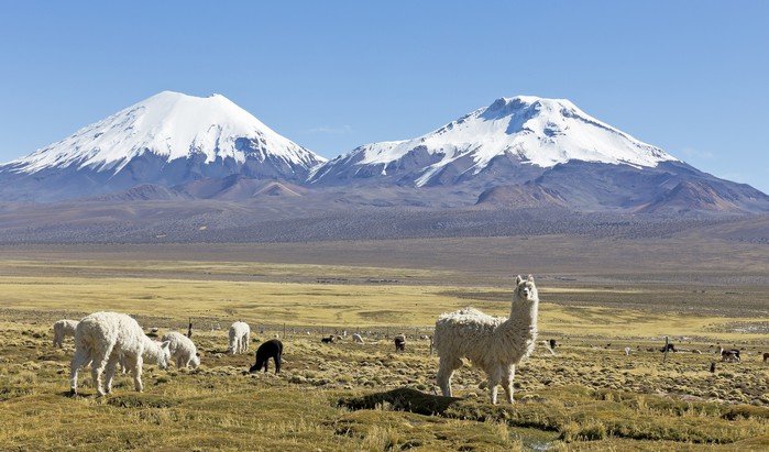 Sprachreisen Argentinien