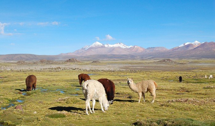 Sprachreisen Peru