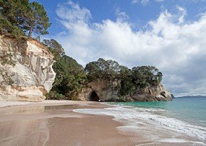 Sprachreisen Coromandel