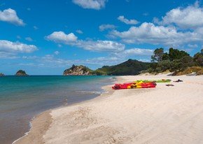 Sprachreisen Coromandel