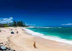 Sprachreisen Sunshine Coast