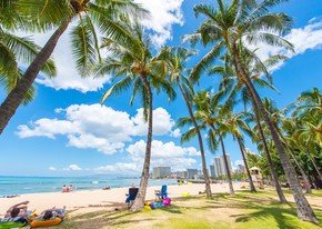 Sprachreisen Waikiki